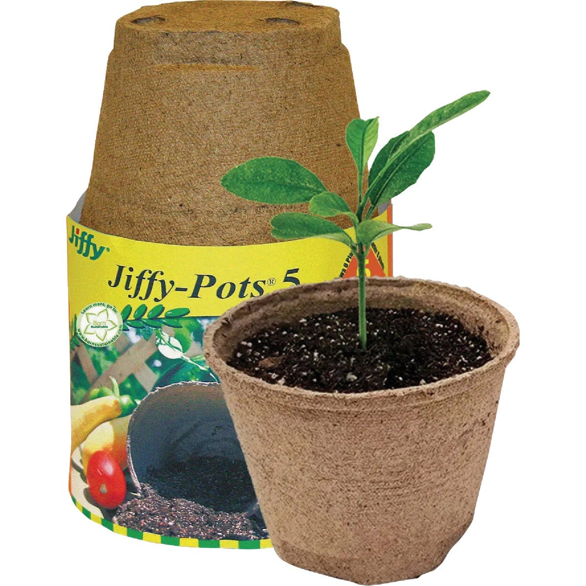 Jiffy 5 In. W. Round Peat Pot (6-Pack) Jiffy 5 In. W. Round Peat Pot (6-Pack)