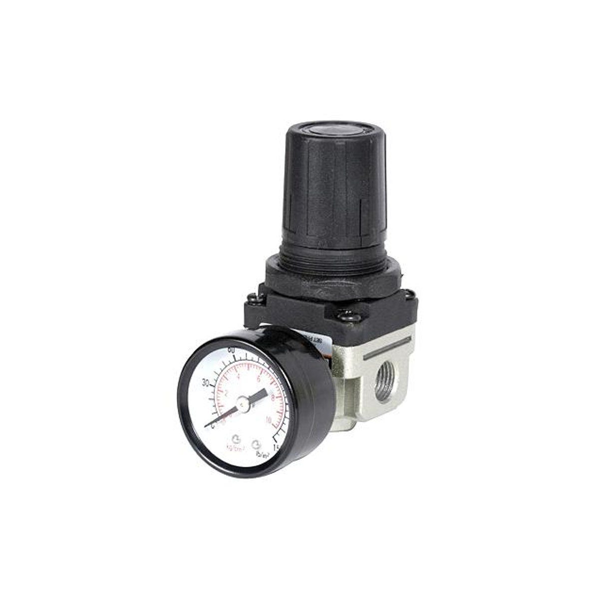 1/4 In. FNPT Mini Airline Regulator with Gauge