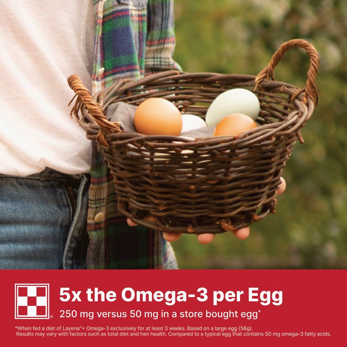 Ohmega Stor Purina Layena 40 Lb. Omega-3 Chicken Feed | True Value Hardware