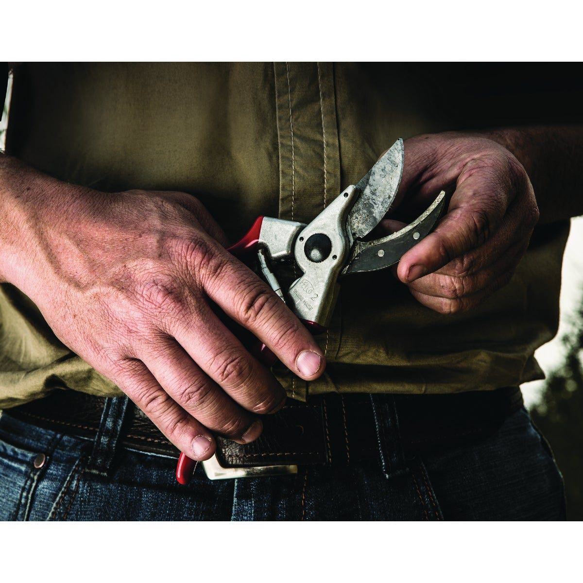 Felco 2 8.5 In. Forged Bypass Pruner - photo 4 Felco 2 8.5 In. Forged Bypass Pruner - photo 4