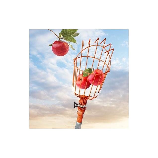 EZ Smart Fruit Picker Wire Basket with 16 Ft. Extension Pole - photo 3 EZ Smart Fruit Picker Wire Basket with 16 Ft. Extension Pole - photo 3