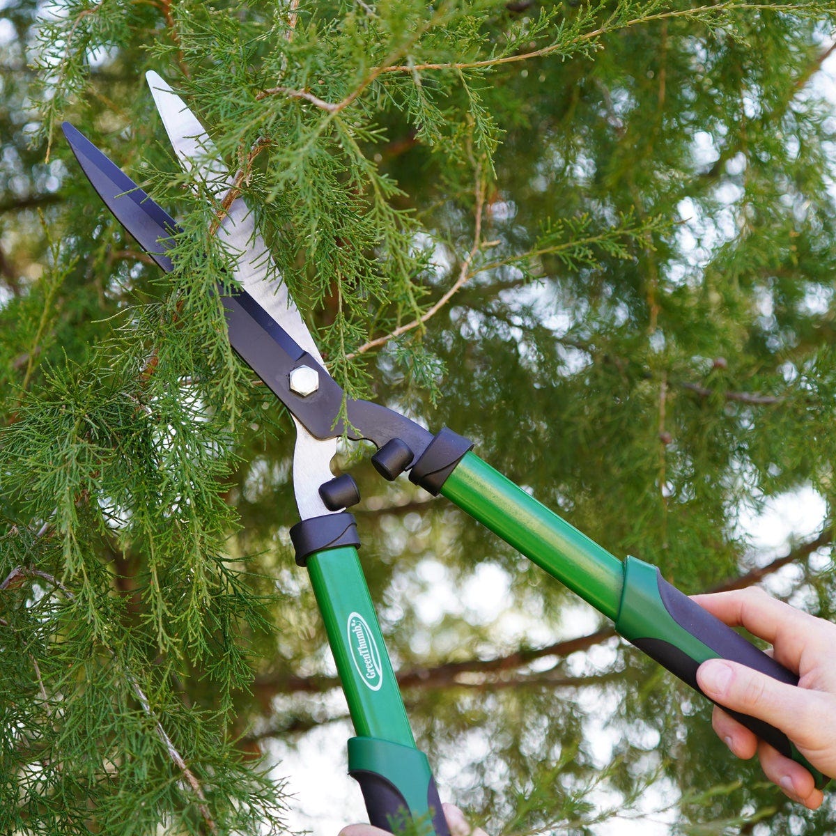 Green Thumb 10.5 In. Carbon Steel Serrated Blade Hedge Shear - photo 6 Green Thumb 10.5 In. Carbon Steel Serrated Blade Hedge Shear - photo 6