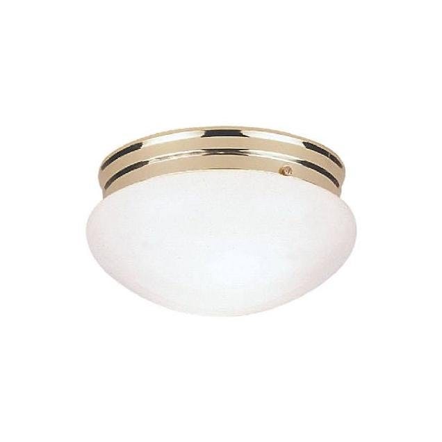 Westinghouse 9-1/2 In. Ceiling Light Fixture