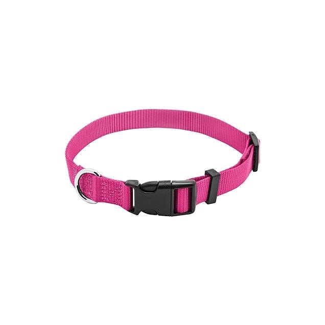 Pet Expert 3/8 In. x 8 In. to 12 In. Adjustable Pink Nylon Dog Collar