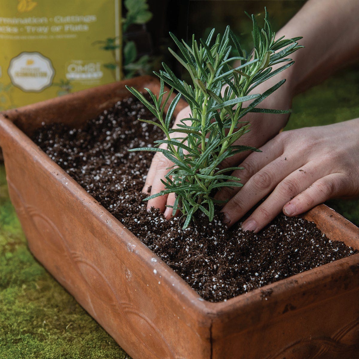 Black Gold 16 Qt. 8-1/3 Lb. All Purpose Container Potting Seed Starting Mix - photo 4 Black Gold 16 Qt. 8-1/3 Lb. All Purpose Container Potting Seed Starting Mix - photo 4