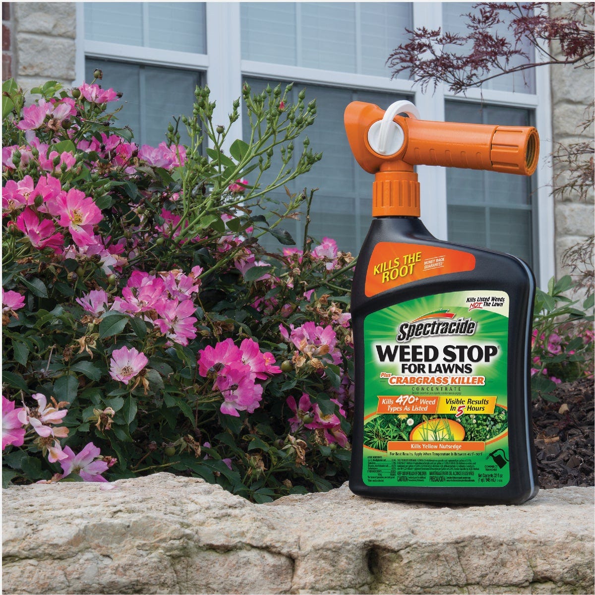 Spectracide Weed Stop For Lawns Plus Crabgrass Killer Concentrate 32 Oz. Ready To Spray Hose End Weed Killer - photo 2 Spectracide Weed Stop For Lawns Plus Crabgrass Killer Concentrate 32 Oz. Ready To Spray Hose End Weed Killer - photo 2