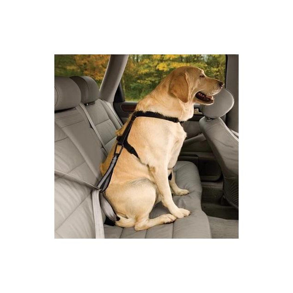 Kurgo Dog Seat Belt Safety Tether with Carabiner - photo 3 Kurgo Dog Seat Belt Safety Tether with Carabiner - photo 3