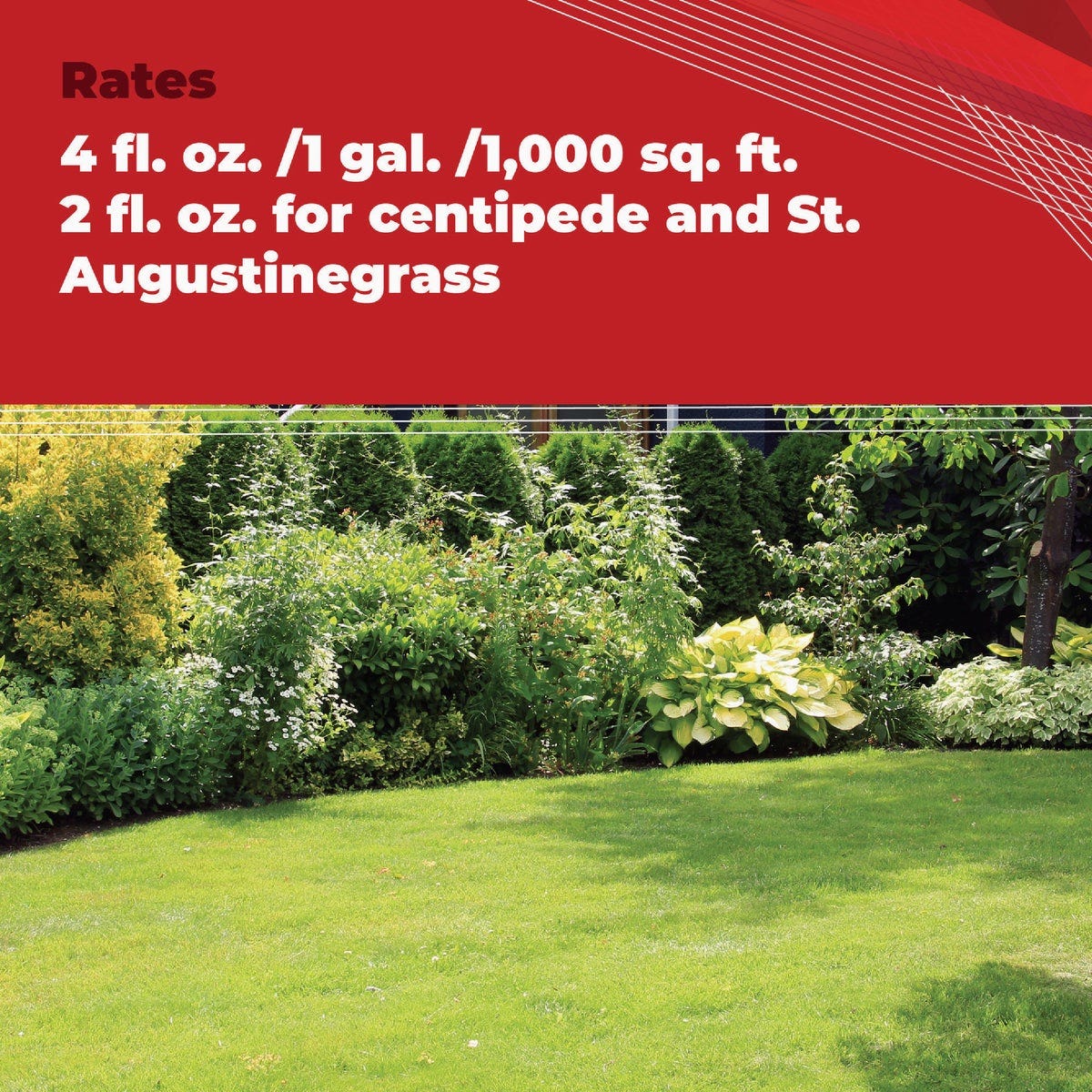 Gordon's Trimec 1 Qt. Concentrate Lawn Weed Killer - photo 4 Gordon's Trimec 1 Qt. Concentrate Lawn Weed Killer - photo 4