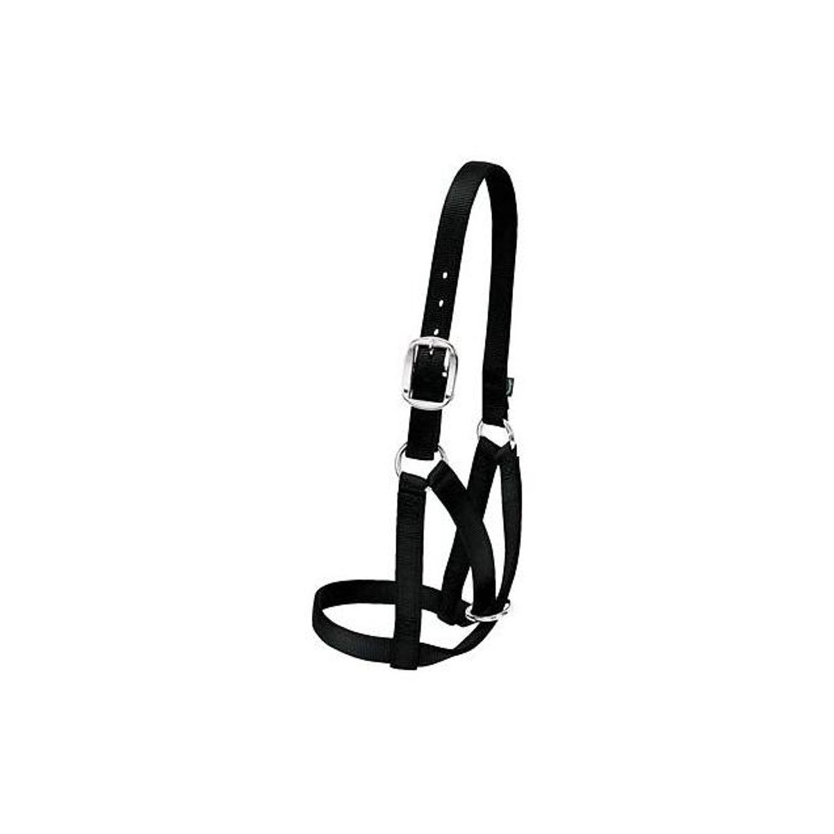 Weaver Leather Black Nylon 1 In. Medium Barn Cow Halter Weaver Leather Black Nylon 1 In. Medium Barn Cow Halter