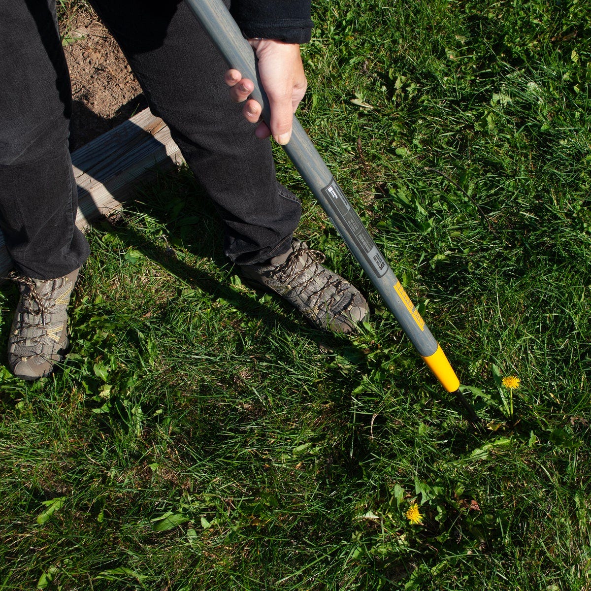 True Temper 36 In. Wood Handle Dandelion Weeder - photo 4 True Temper 36 In. Wood Handle Dandelion Weeder - photo 4