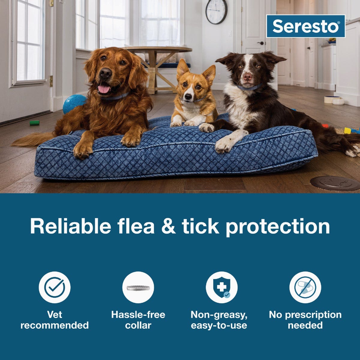 Seresto 8 Month Flea & Tick Collar for Dogs Over 18 Lb. - photo 5 Seresto 8 Month Flea & Tick Collar for Dogs Over 18 Lb. - photo 5