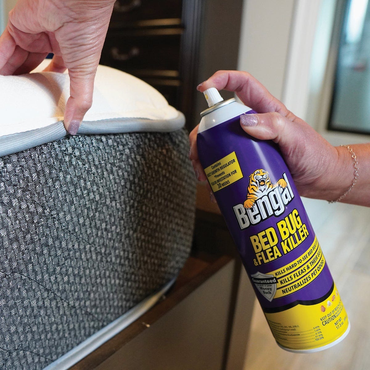 Bengal 17.5 Oz. Aerosol Spray Flea & Bedbug Killer - photo 4