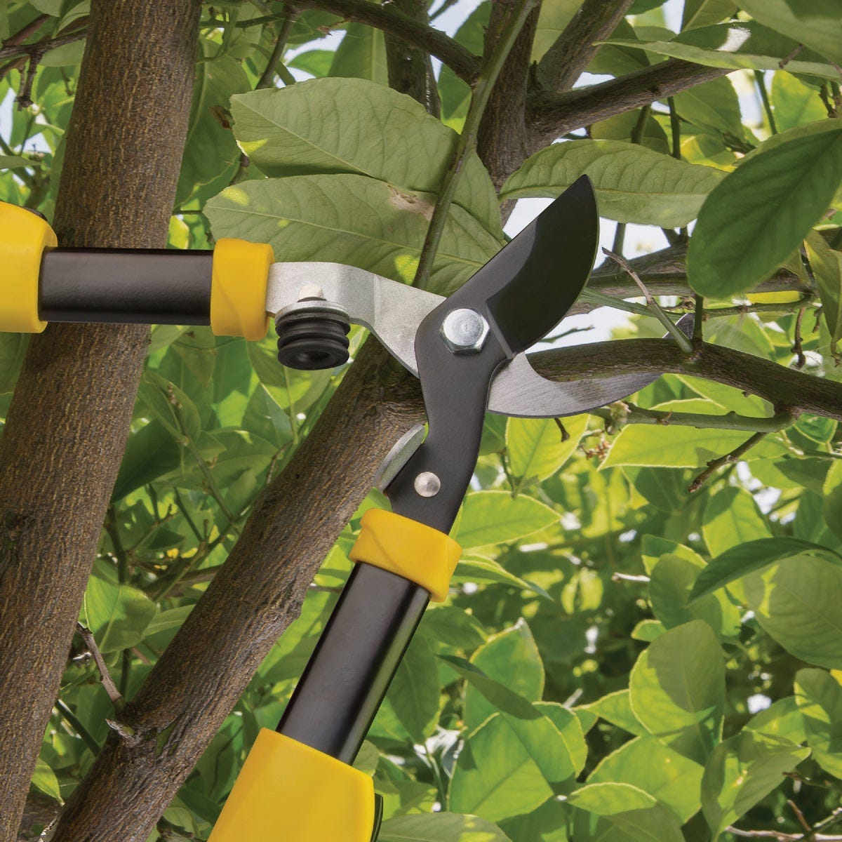 Stanley 36 In. Telescopic Lopper- - photo 3