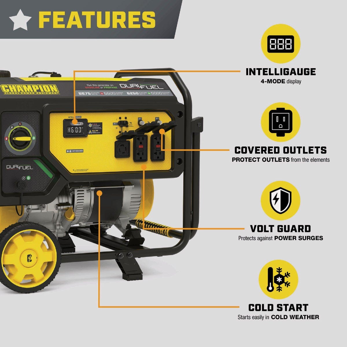 Champion 5500W/6875W Dual Fuel Portable Generator with CO Shield - photo 6 Champion 5500W/6875W Dual Fuel Portable Generator with CO Shield - photo 6