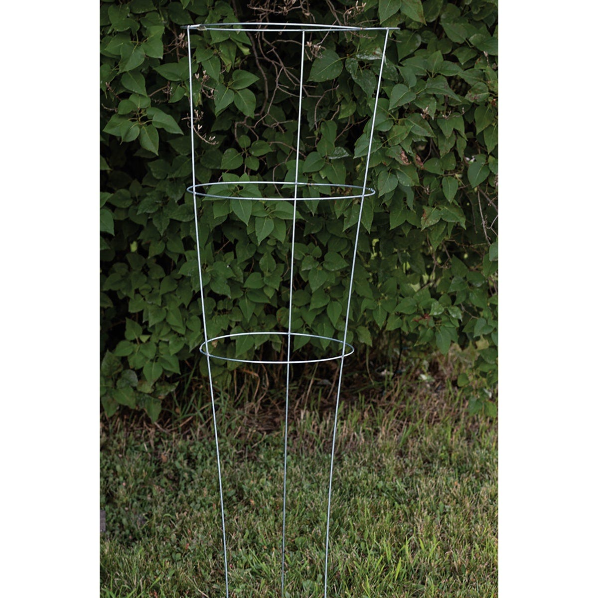 Glamos 42 In. Heavy-Duty Galvanized Tomato Cage - photo 2