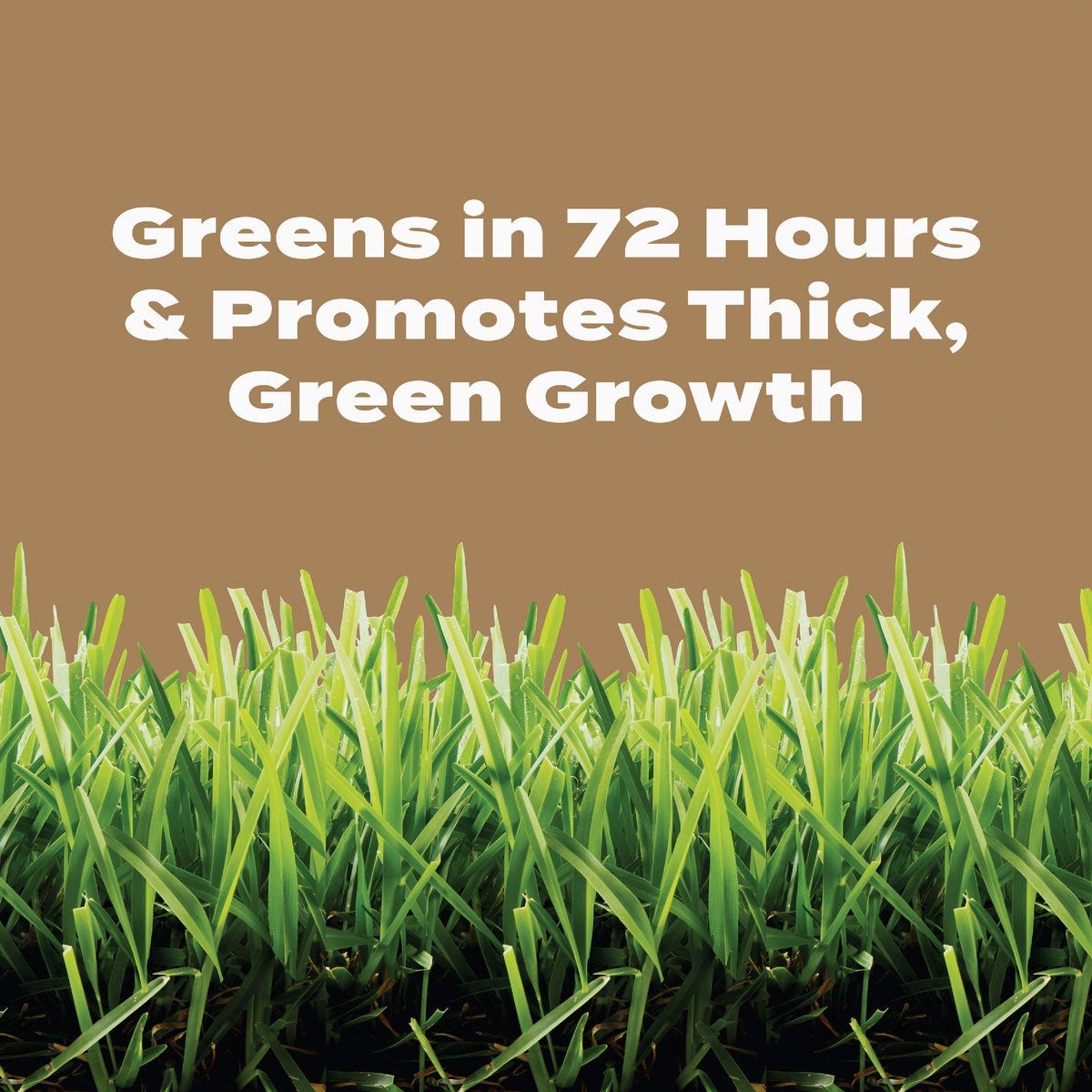Scotts Turf Builder 22.4 Lb. 8000 Sq. Ft. 29-0-10 Weed & Feed for Texas Lawns - photo 5