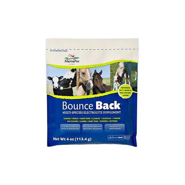 Manna Pro 4 Oz. Bounce-Back Electrolyte Supplement For Livestock