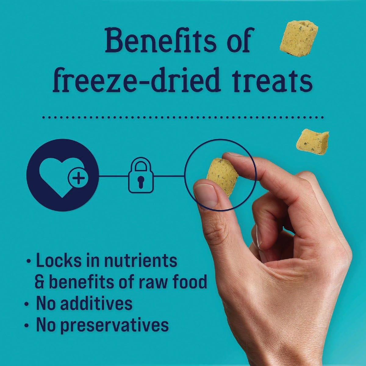 Stewart Focus 8 Oz. Freeze-Fried Salmon Dog Treat - photo 3