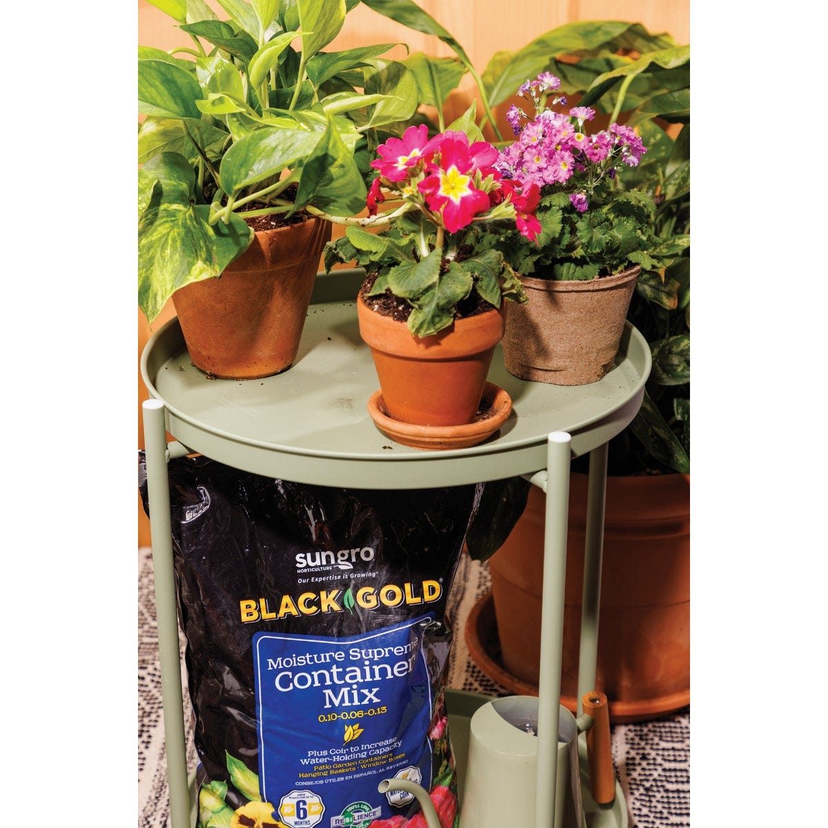 Black Gold Moisture Supreme 8 Qt. 6 Lb. Container Potting Soil Mix - photo 4 Black Gold Moisture Supreme 8 Qt. 6 Lb. Container Potting Soil Mix - photo 4
