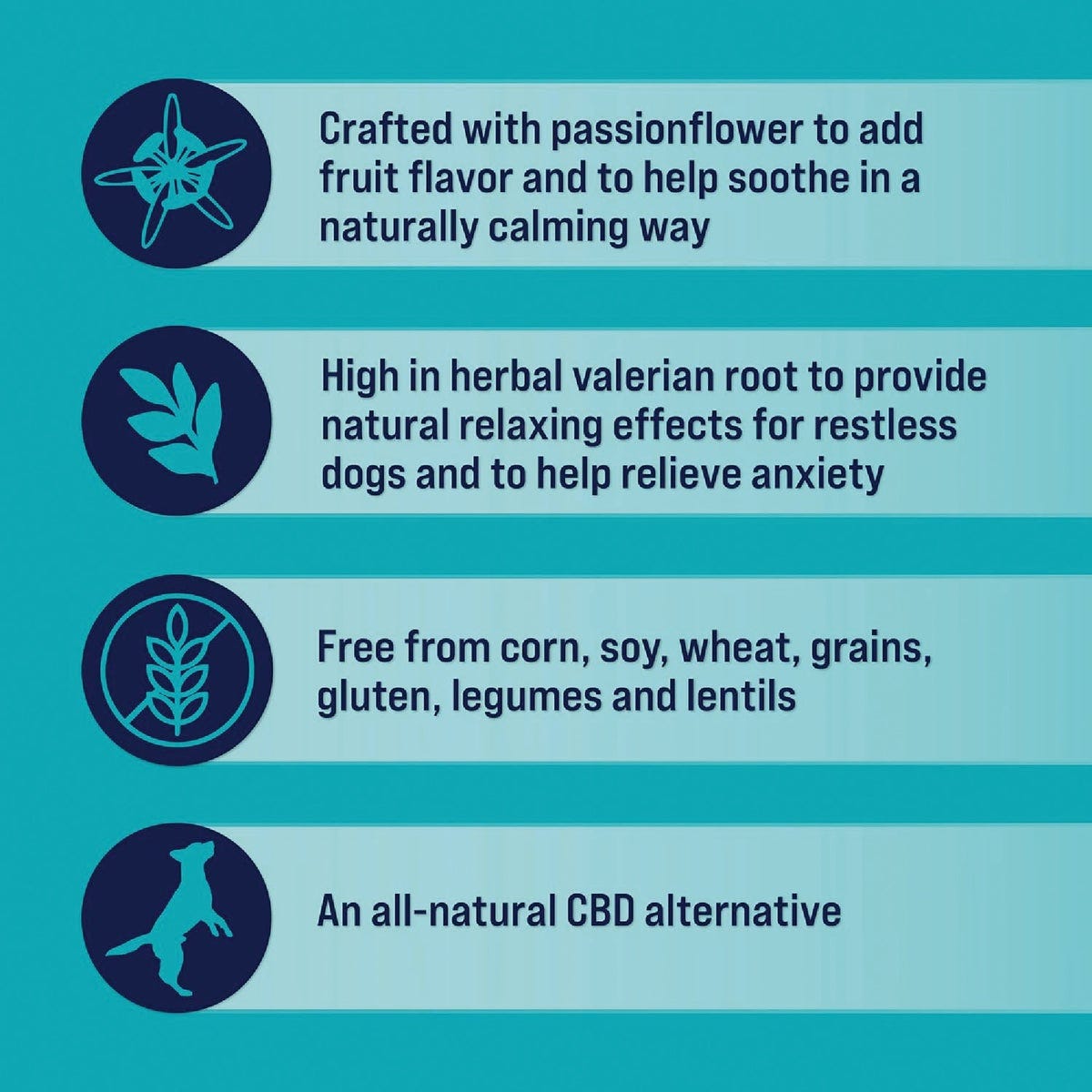 Stewart 4 Oz. Zen Beef & Pumpkin with Passionflower Freeze-Dried Dog Treats - photo 4